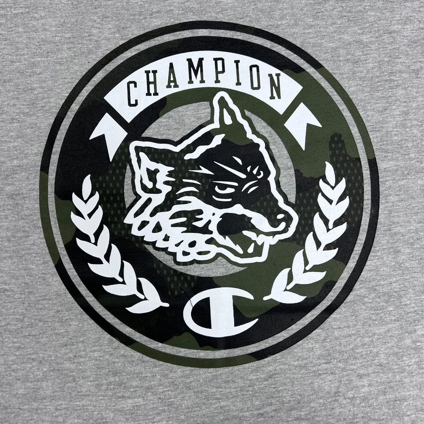 Champion Graphic Print T-Shirt