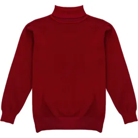 Dark Red Mens Long Sleeve Knit Turtleneck Sweater