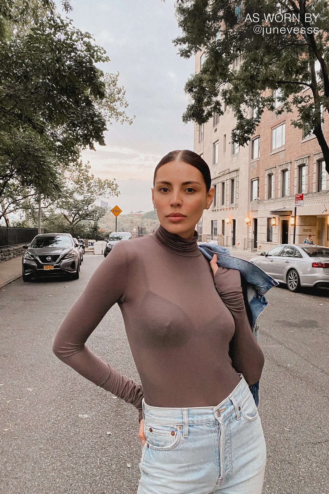 Eloise Sheer Turtleneck